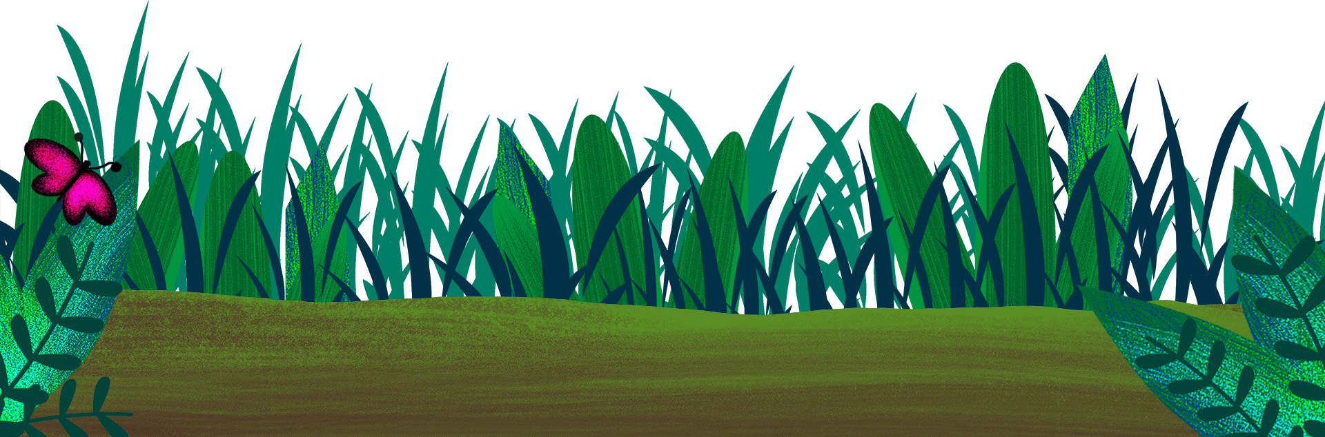 gras hörminute